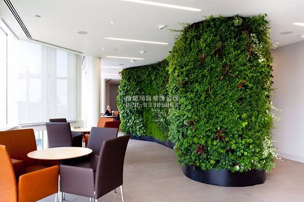 辦公室裝修完以后擺放什么綠植好？